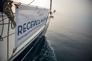 El mar que parla: el Garraf consolida una dècada d’observació de cetacis amb noves dades i reptes de futur