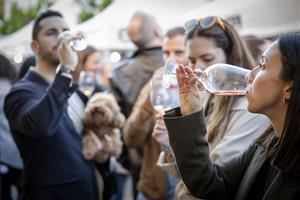 El Microvi 2026 torna a Avinyonet del Penedès amb vi, cultura i experiències úniques