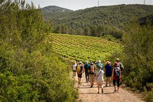 El Microvi 2026 torna a Avinyonet del Penedès amb vi, cultura i experiències úniques