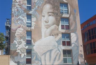 El mural de Lula Goce, a la part inferior, es veu lleugerament la pintura de color torrat amb què s’ha intentat dissimular una pintada vandàlica