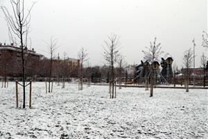 El Parc Central d'Igualada emblanquinat