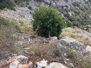 El Parc del Garraf retira més de mitja tona de residus dels talussos del Pic del Martell. Diputació de Barcelona