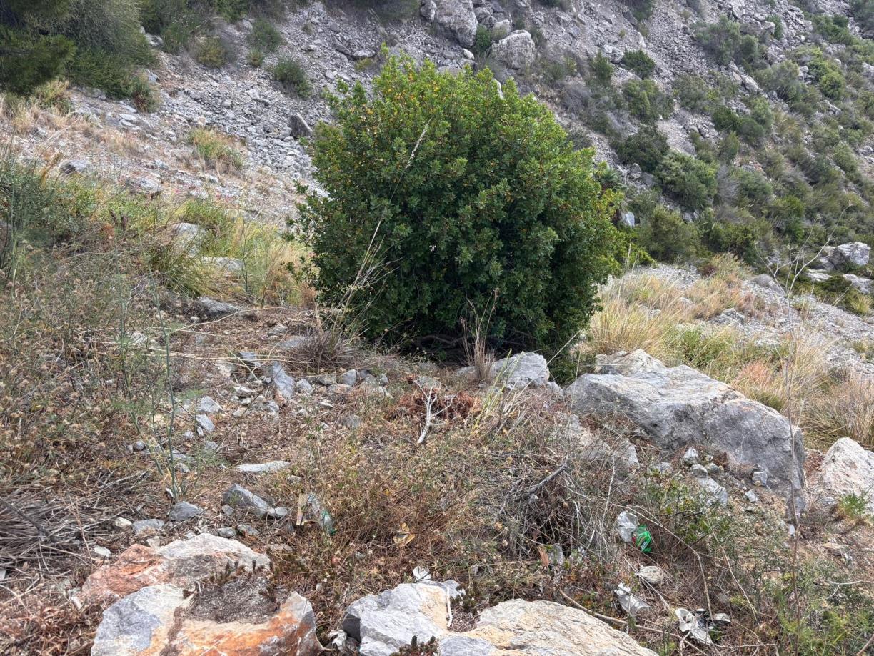 El Parc del Garraf retira més de mitja tona de residus dels talussos del Pic del Martell. Diputació de Barcelona