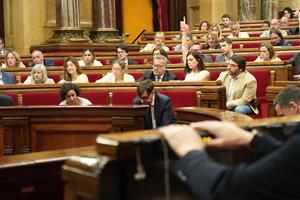 El Parlament exigeix inversions a l'Estat per eliminar el 
