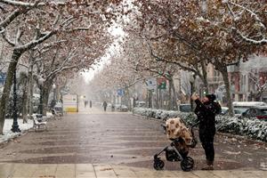 El Passeig Verdaguer d'Igualada emblanquinat  . Mar Martí