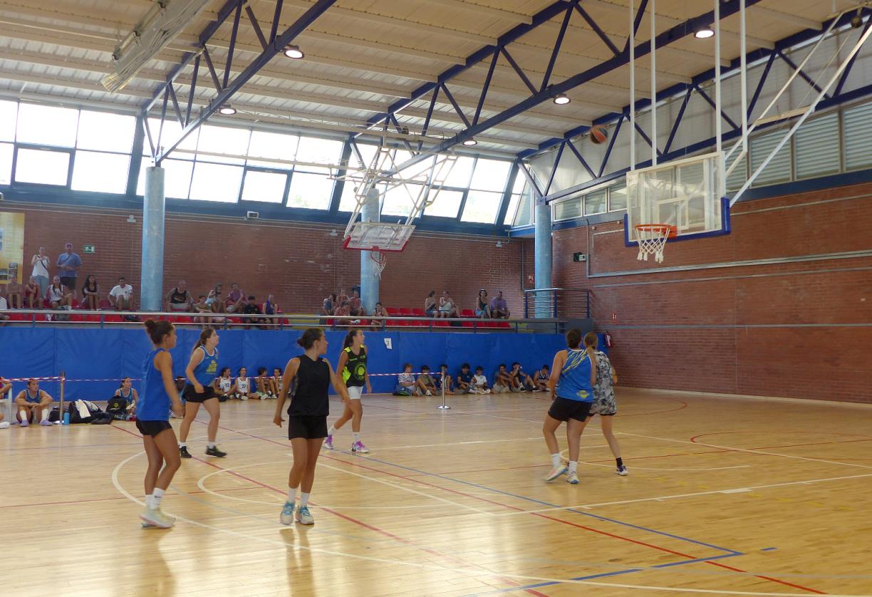 El pavelló esportiu de Pins Vens . Eix