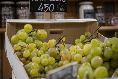 El Penedès estrena un mapa gastronòmic digital per connectar productors, restaurants i comerços. Consorci de Promoció