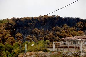 El president de la Generalitat, Salvador Illa, presideix la taula de trobada amb alcaldes i cossos de seguretat  
