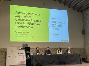 El sector vitivinícola analitza la innovació genòmica per reforçar la vinya davant el canvi climàtic