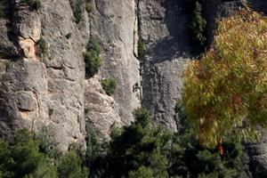 Els Agents Rurals desmunten cinc vies d'escalada a Montserrat després de l'accident mortal 