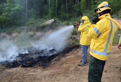 Els Bombers alerten que les pluges d'aquest hivern i primavera no garanteixen una campanya d'incendis "tranquil·la". ACN