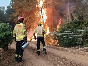 Els bombers treballen per evitar revifalles i poder estabilitzar l'incendi d'Aiguamúrcia aquest dilluns al vespre. Bombers