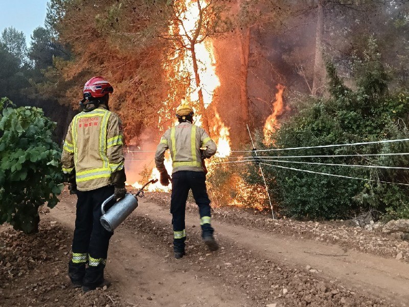 Els bombers treballen per evitar revifalles i poder estabilitzar l'incendi d'Aiguamúrcia aquest dilluns al vespre. Bombers