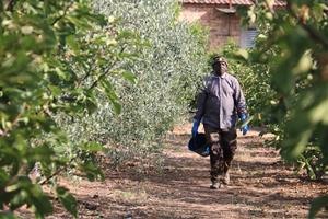 Els sindicats demanen canvis “importants” d'organització i horaris per fer front a la calor extrema a la feina