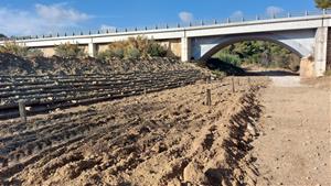 Enllestides les obres per millorar la connectivitat ecològica de diversos cursos fluvials de la conca del Foix. Generalitat de Catalunya