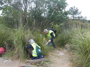 Es constitueix la Taula de voluntariat dels Parcs del Garraf, Olèrdola i el Foix amb una dotzena d’entitats