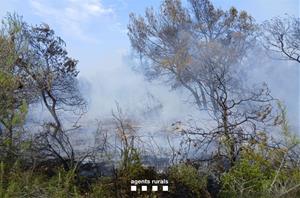 Estabilitzat un incendi forestal a la Serreta de Vilafranca que ha afectat 1,5 hectàrees. Bombers