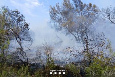 Estabilitzat un incendi forestal a la Serreta de Vilafranca que ha afectat 1,5 hectàrees. Bombers