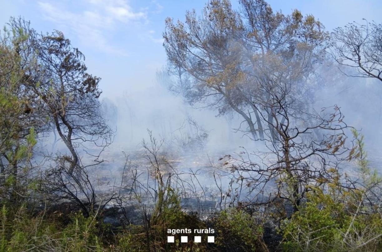 Estabilitzat un incendi forestal a la Serreta de Vilafranca que ha afectat 1,5 hectàrees. Bombers