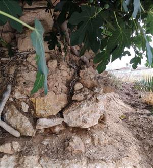Estat del pou de pedra seca del passatge Federica Montseny de Ribes