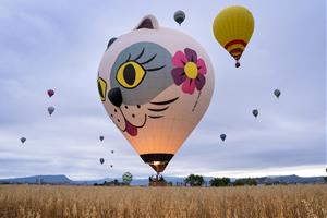 European Balloon Festival