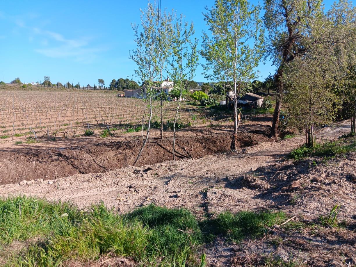 Finalitzen els treballs de manteniment a la riera de l’Adoberia de Vilafranca. Ajuntament de Vilafranca