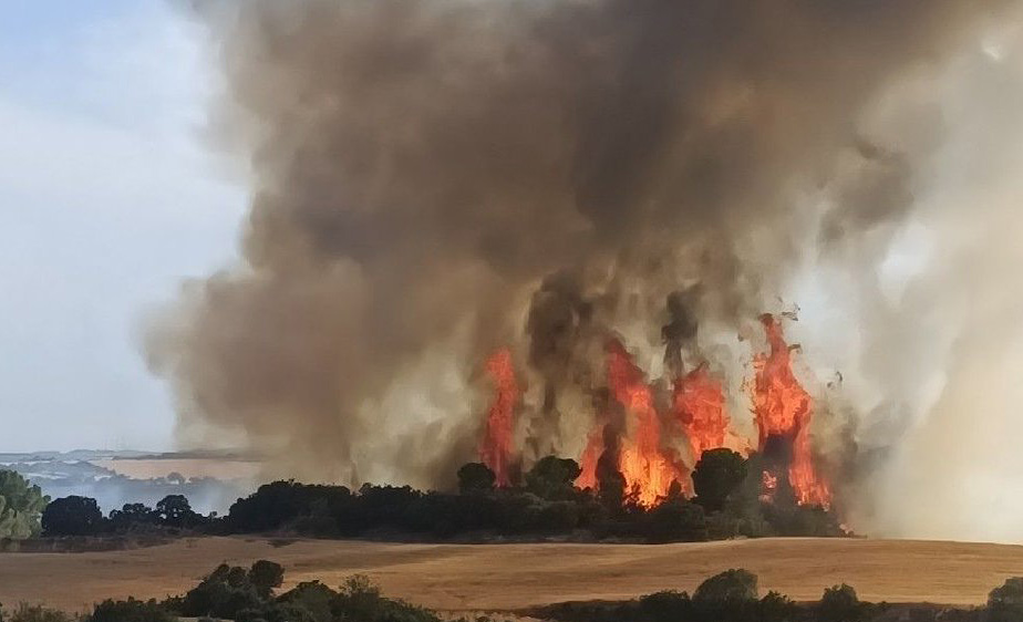 Flames d'una represa en un incendi vegetal . Bombers