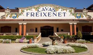 Grup Freixenet passa a denominar-se Freixenet Iberia a Espanya i estrena nova identitat corporativa. Freixenet