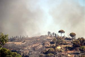 Imatges de l'incendi a l'Anoia. ACN