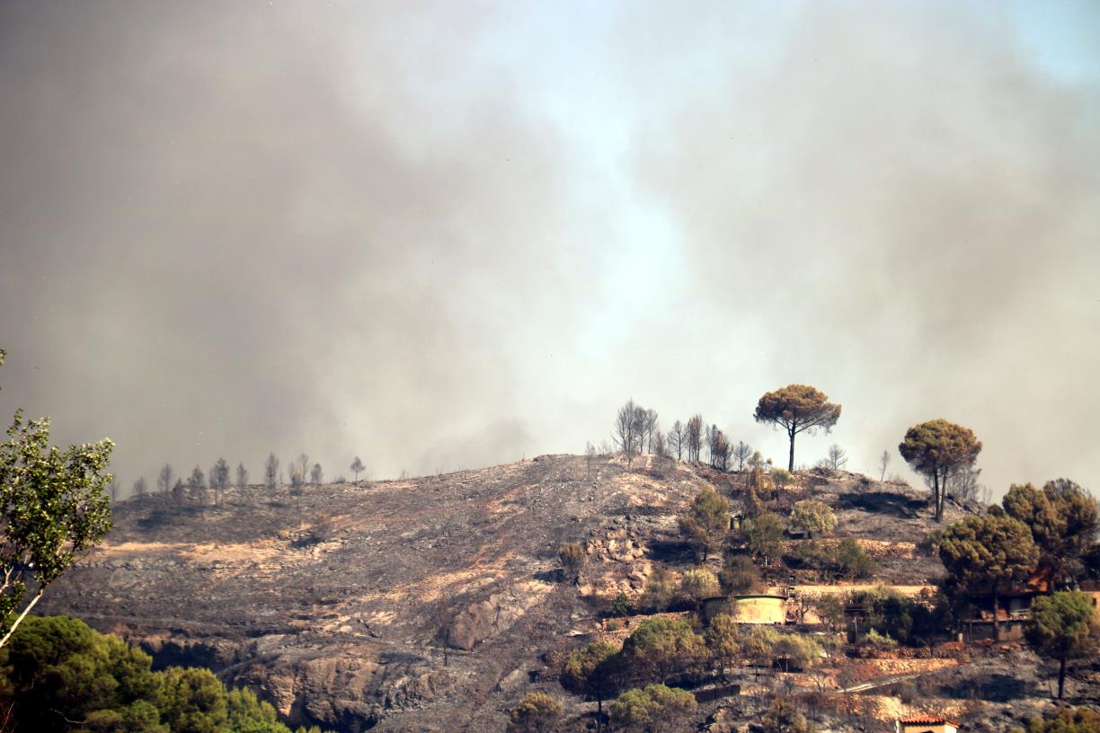 Imatges de l'incendi a l'Anoia. ACN