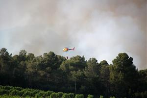 Imatges de l'incendi del Pla de Manlleu . ACN