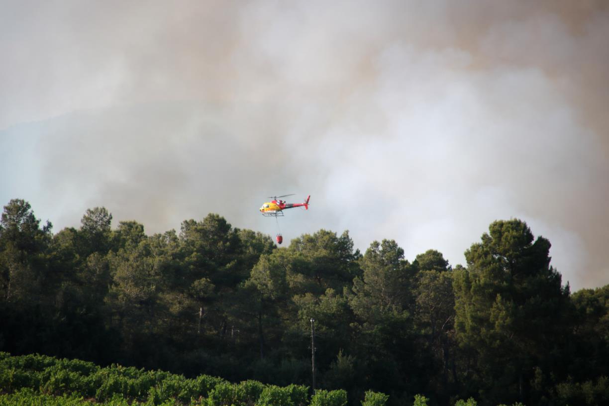 Imatges de l'incendi del Pla de Manlleu . ACN