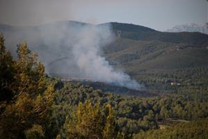 Imatges de l'incendi del Pla de Manlleu 