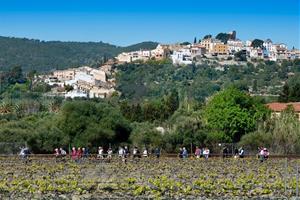 Inaugurat el nou passeig urbà del Torrent dels Aragalls, que connecta el Vendrell amb el mar a través de la via verda