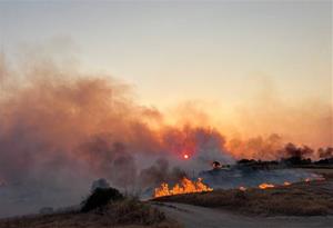 Incendi de vegetació. Bombers