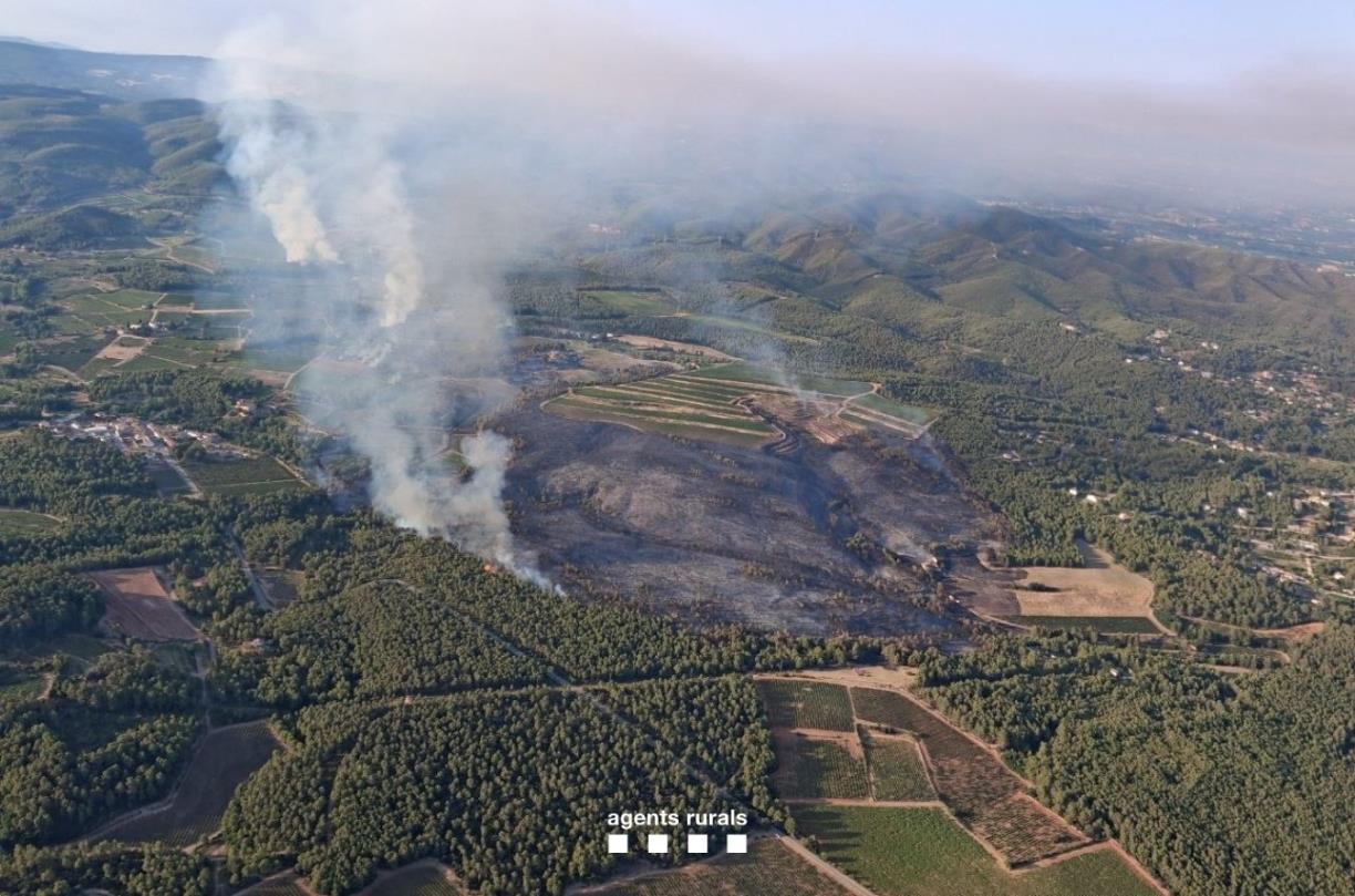 Incendi forestal a Aiguamúrcia. Bombers