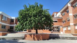 Institut Intermunicipal del Penedès. Eix
