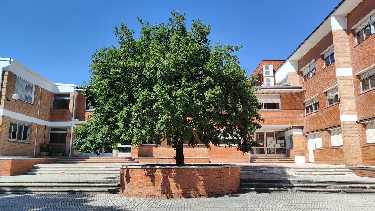 Institut Intermunicipal del Penedès. Eix