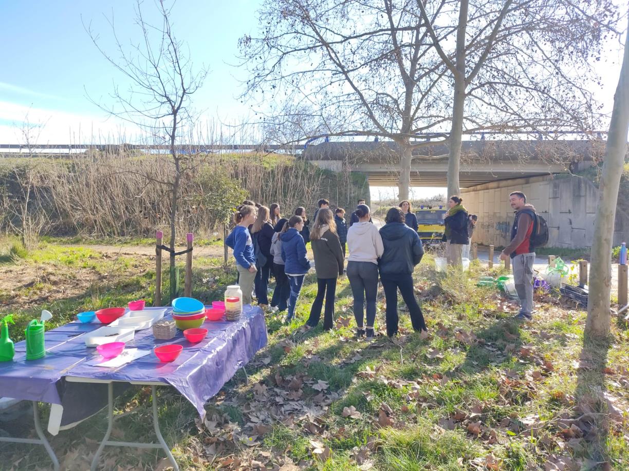 Instituts de Vilafranca i l’ADF col·laboren en la restauració de les rieres després del Dana. Ajuntament de Vilafranca