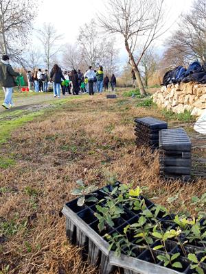 Instituts de Vilafranca i l’ADF col·laboren en la restauració de les rieres després del Dana
