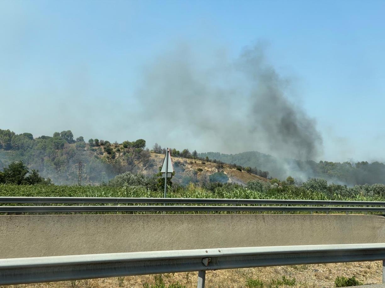 Interrompuda la circulació de l'R4 i l'R8 entre Gelida i Martorell Central per un incendi proper a la zona de vies. ACN