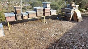 Investiguen un home per l'apropiació d'un centenar de ruscs sostrets fa sis anys a Olivella i Sant Martí Sarroca