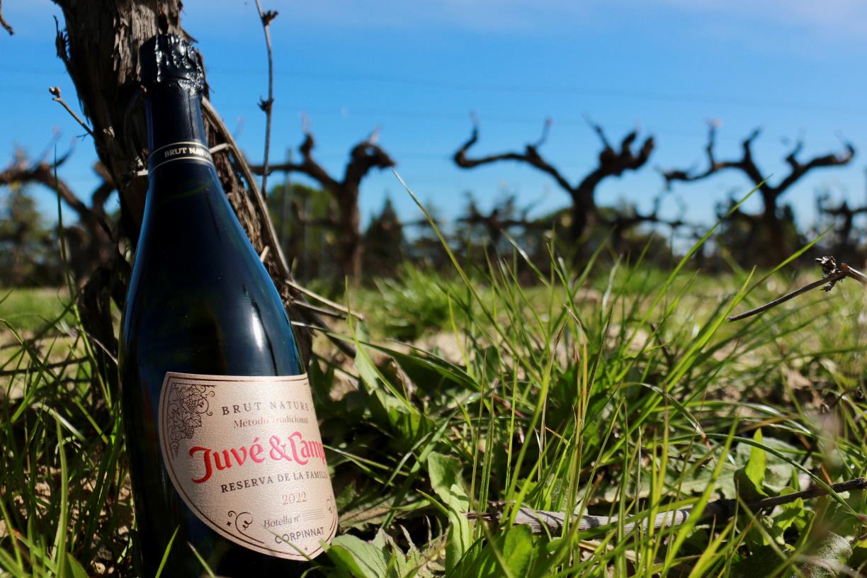 Juvé & Camps abandona la DO Cava per adherir-se a Corpinnat. ACN