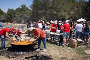 La 28a Festa de la Rosa a la Pineda de la Vilanoveta
