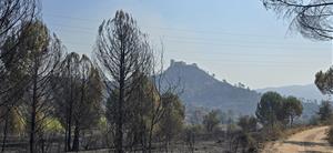 La Diputació activa el suport als municipis afectats per l'incendi de Carme i destaca l'eficàcia de la gestió forestal preventiva