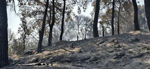 La Diputació activa el suport als municipis afectats per l'incendi de Carme i destaca l'eficàcia de la gestió forestal preventiva