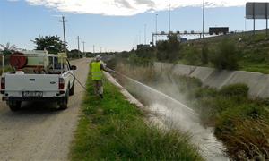 La Diputació de Barcelona reforça el suport als municipis per controlar les arbovirosis transmeses per mosquits. Diputació de Barcelona
