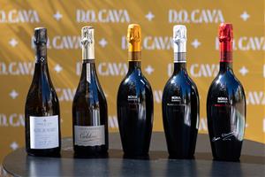 La DO Cava consolida la qualitat i els productes premium malgrat la sequera de 2025