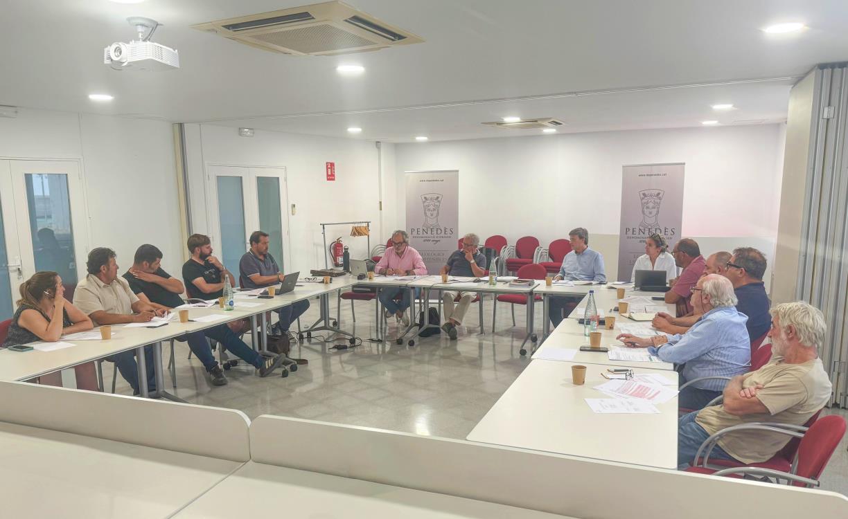 La DO Penedès impulsa un nou reglament per separar la gestió dels vins tranquils i els escumosos. DO Penedès