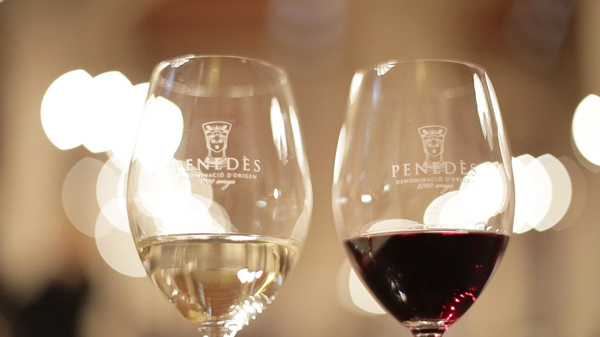 La DO Penedès lamenta el brindis amb cervesa a les campanades de TV3. DO Penedès